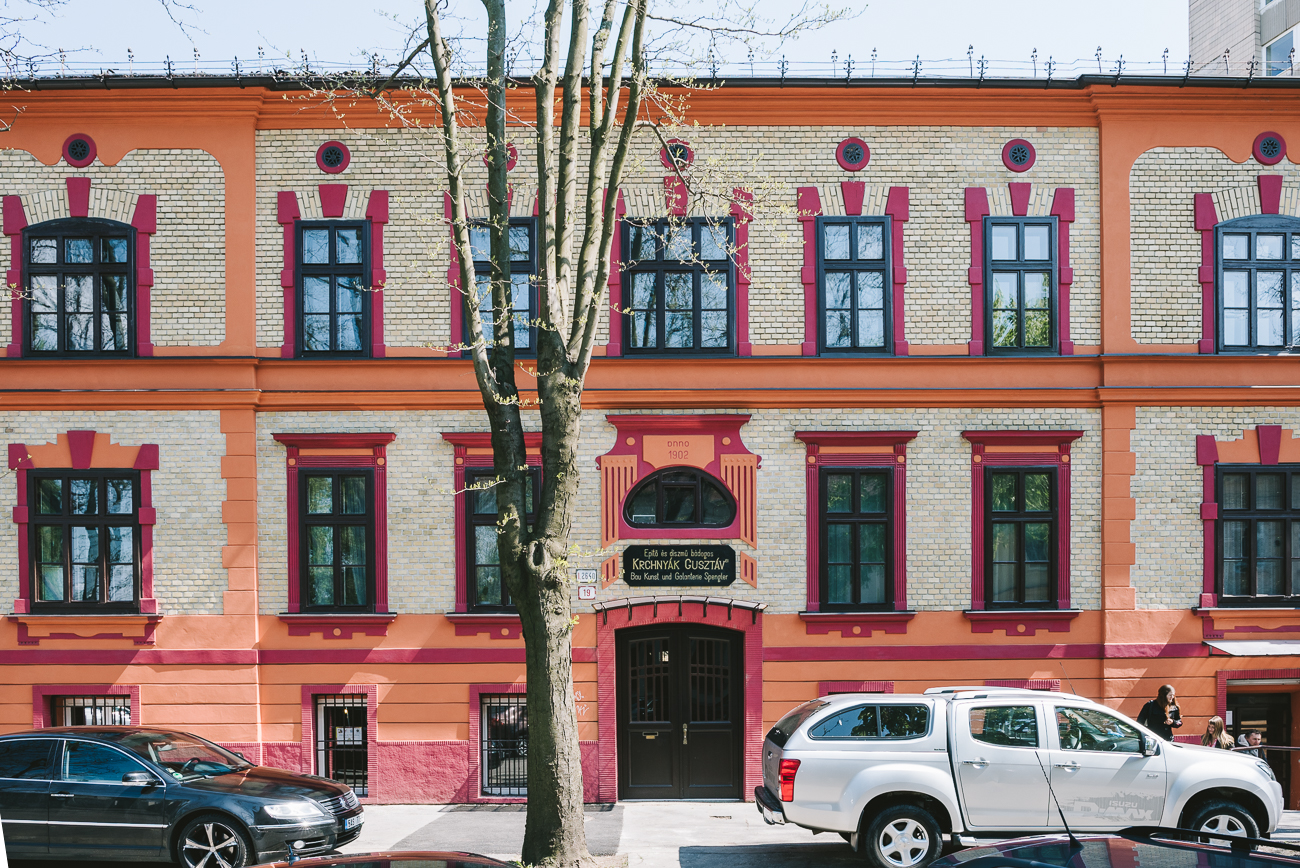 nl_anketa_0137