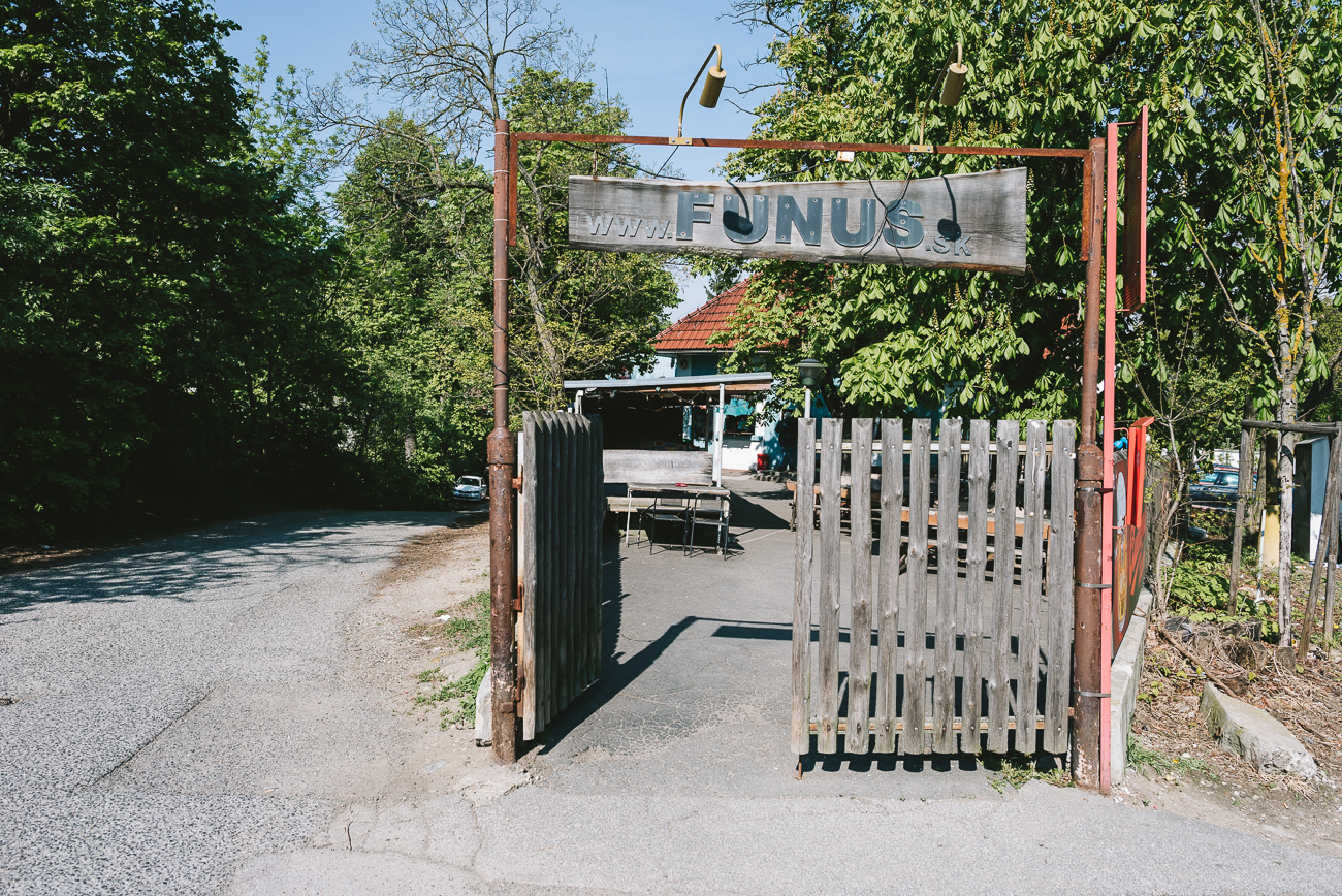 nl_anketa_0262