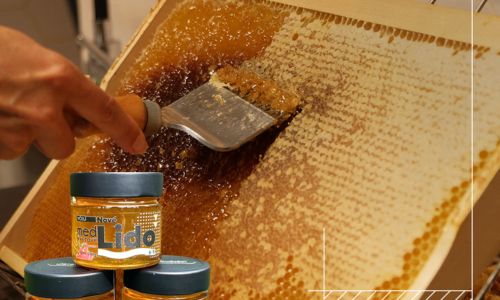 Štatút súťaže „O med z Nového Lida“