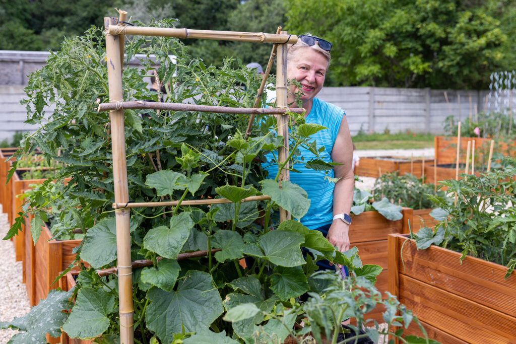 V Komunitnej záhrade na Novom Lide rastie ovocie, zelenina aj komunita
